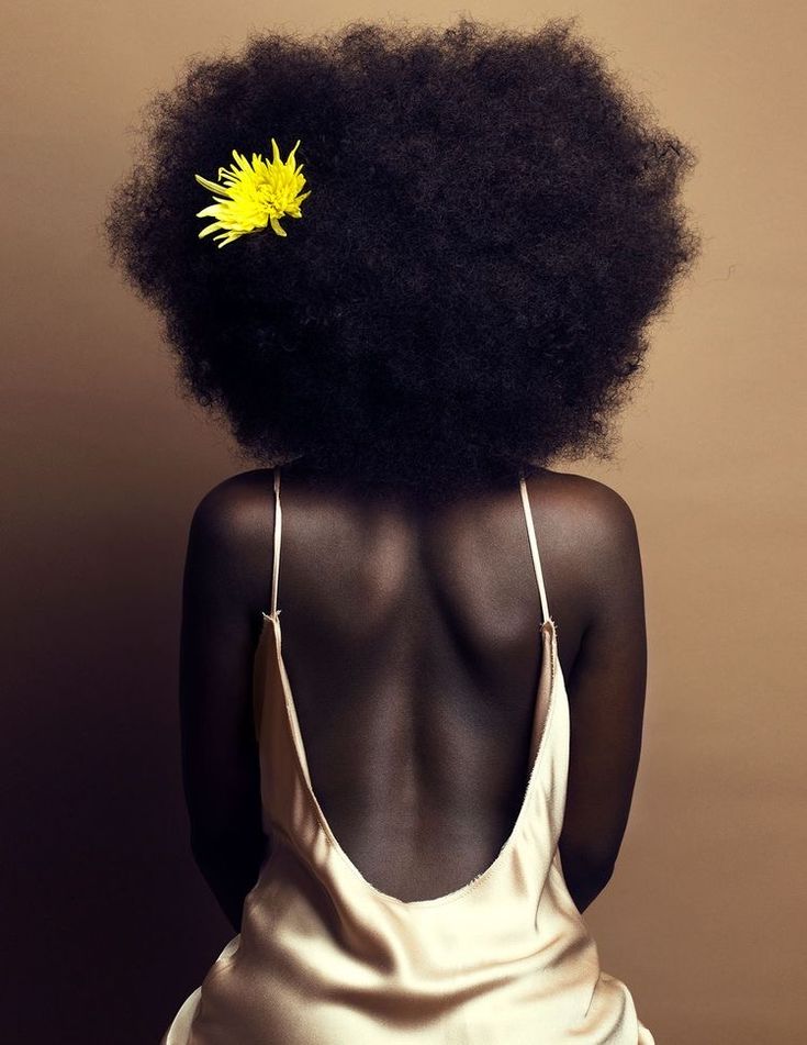 Crowning Glory: The Power, History, and Soul of Afro Hair