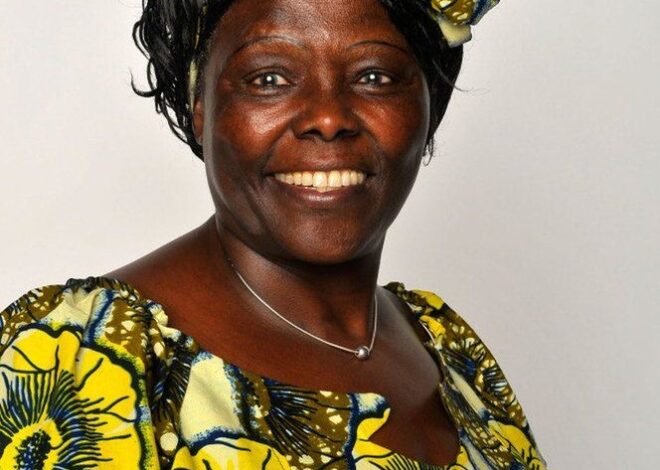 The Woman Who Planted a Movement: Wangari Maathai’s Story