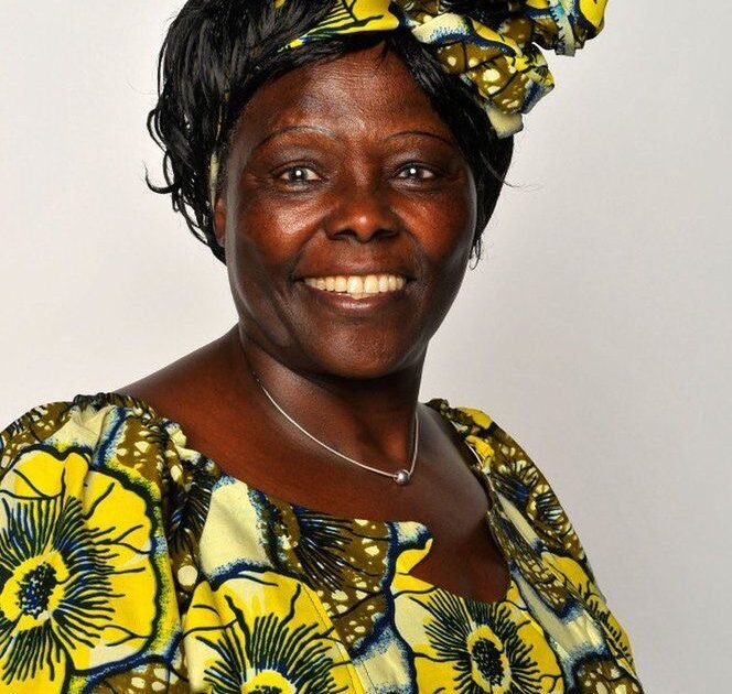 The Woman Who Planted a Movement: Wangari Maathai’s Story