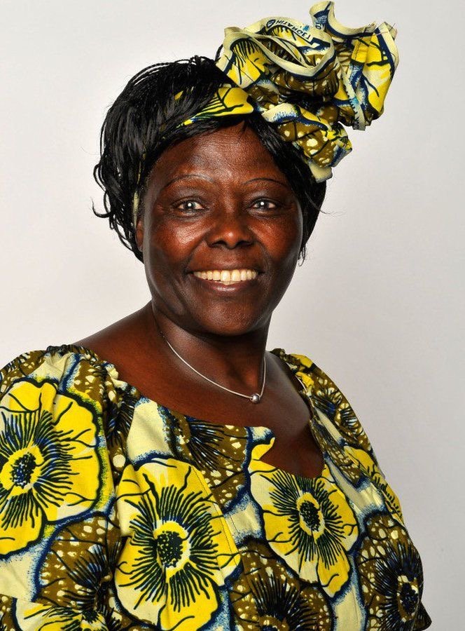 The Woman Who Planted a Movement: Wangari Maathai’s Story