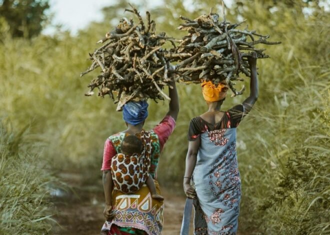 The Amazing Women Rebuilding Hope After Displacement